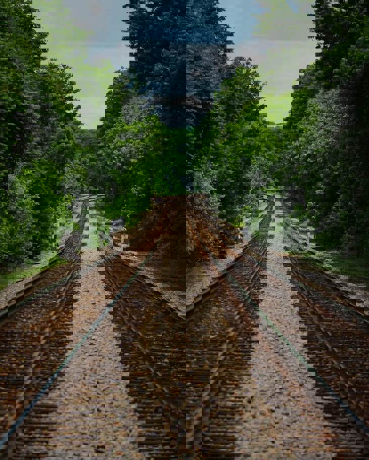 Pexels Cody King 433493 1121296 (1)