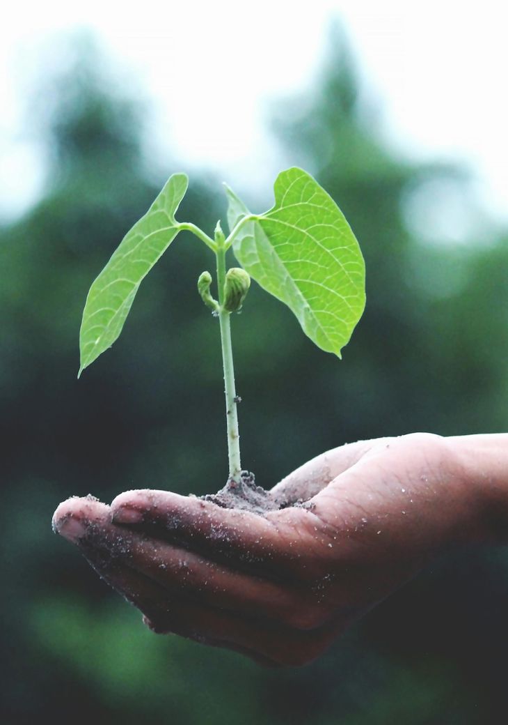 Pexels Akilmazumder 1072824