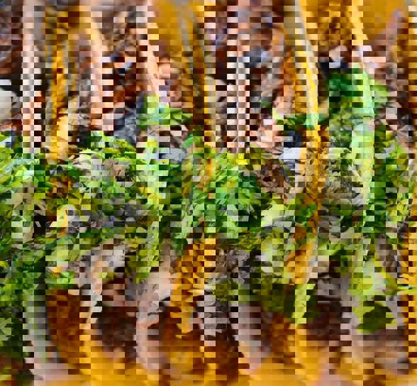 Jeswin Thomas Z Pfagzen9e Unsplash (1)