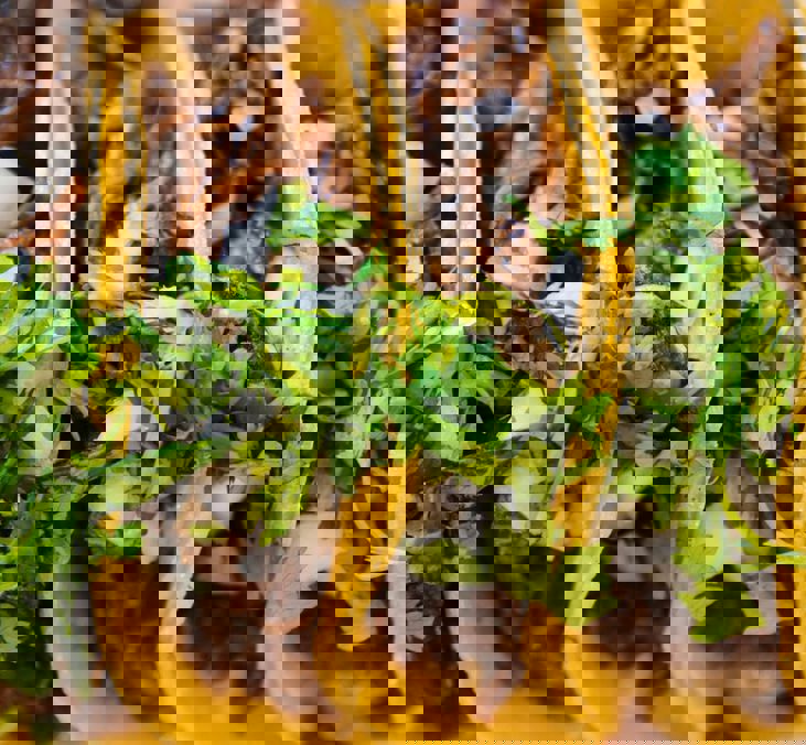 Jeswin Thomas Z Pfagzen9e Unsplash (1)